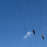 悪い口コミは本当？家族でネスタリゾート1泊旅の感想！