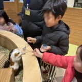 春休み！天保山アニパで子供も大人も癒される