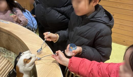 春休み！天保山アニパで子供も大人も癒される